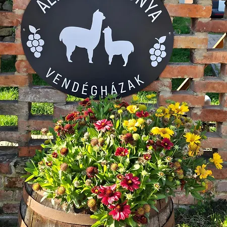 Alpaka Kishaz