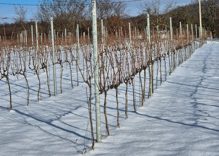 Alpaka Kishaz Lejlighed *